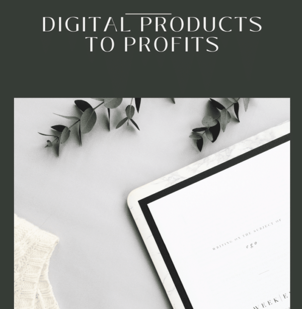 Digital Products to Profits